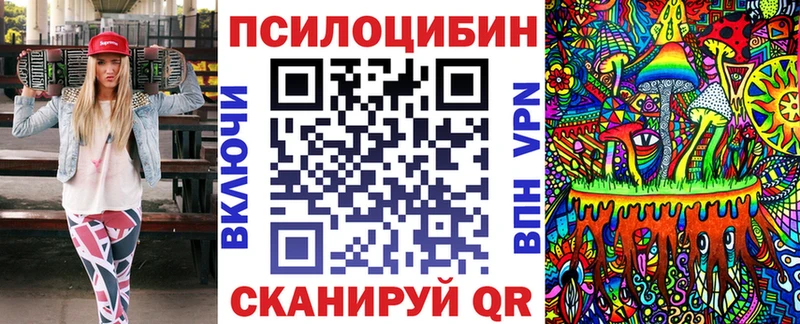 Галлюциногенные грибы MAGIC MUSHROOMS  где купить наркоту  кракен как войти  Ядрин 